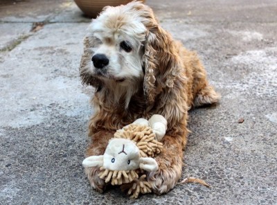 attachment.jpg