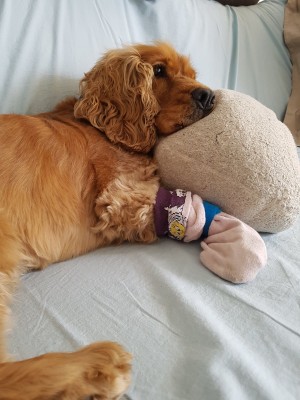 Guckt mal ich bin ja so leidend