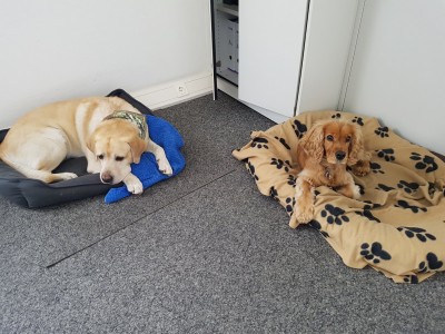 So Sherman das hast du nun davon. Jetzt ist da große wieder mir.