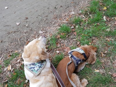 zusammen kuscheln ist doch was schönes