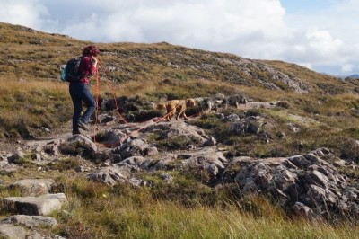 Unwegsames Gelände...