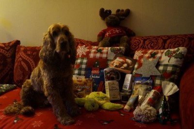 Und das Auspacken war noch viel schöner. Soooo tolle Sachen!