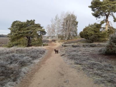 725DF774-75DF-4232-B0E7-BC87FD3CA2DB.jpeg