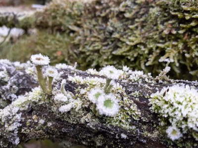 605D804B-EBC6-4DA2-8357-4F1EDCF6C573.jpeg