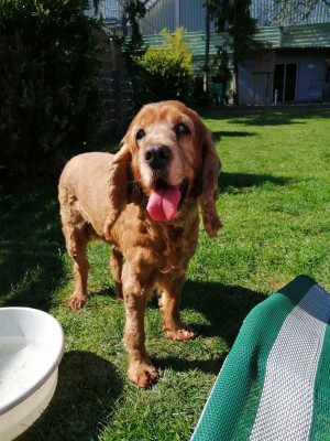 WhatsApp Image 2020-04-06 at 15.12.10 (2).jpeg