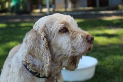 WhatsApp Image 2020-04-18 at 15.30.41 (1).jpeg