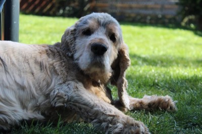 WhatsApp Image 2020-04-18 at 15.30.41 (2).jpeg