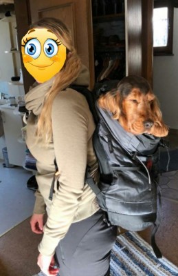 94779354_3010964738961568_6224633704807923712_n.jpg (114.01 KiB) 9343 mal betrachtet 94779354_3010964738961568_6224633704807923712_n.jpg