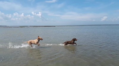 Odetje4-IMG-20200411-WA0006.jpg (224.75 KiB) 9343 mal betrachtet Odetje4-IMG-20200411-WA0006.jpg