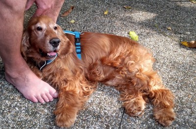 Ferry an den Füßen.jpg