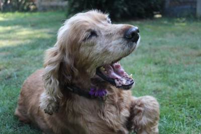 WhatsApp Image 2020-08-09 at 18.22.40 (1).jpeg