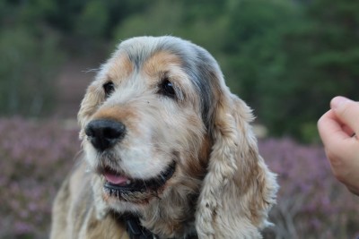 WhatsApp Image 2020-08-30 at 14.16.31.jpeg