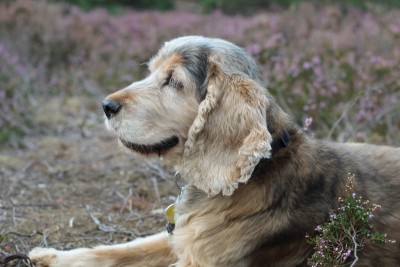 WhatsApp Image 2020-08-30 at 14.16.33.jpeg