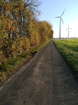 IMG_20201108_091207.jpg