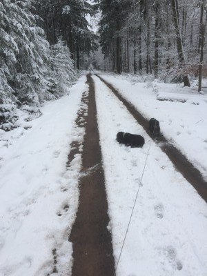 IMG_0583.jpeg