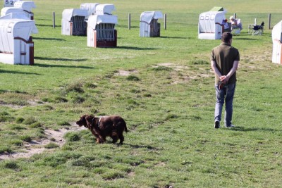 Am Hundestrand Norddeich 2.JPG