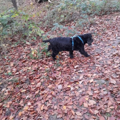 20211109_161831.jpeg