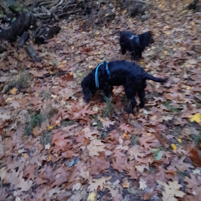 20211107_165810.jpeg