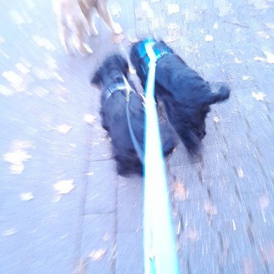 20211109_165517.jpeg