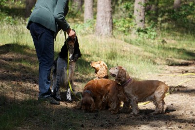 Moment! ... wir auch!