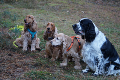 schnell ein Gruppenbild
