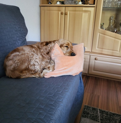 7_20220823_095032 Kopie.jpg