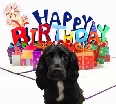 Geburtstagskind Mala