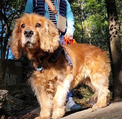 20221009_114954 (11).jpg