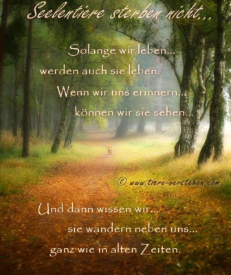 Screenshot_20220717-093132_Samsung Internet.jpg