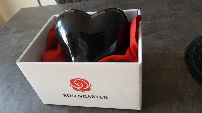 Tina ist wieder Zuhause