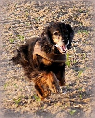 P1500797.JPG (82.09 KiB) 922 mal betrachtet P1500797.JPG