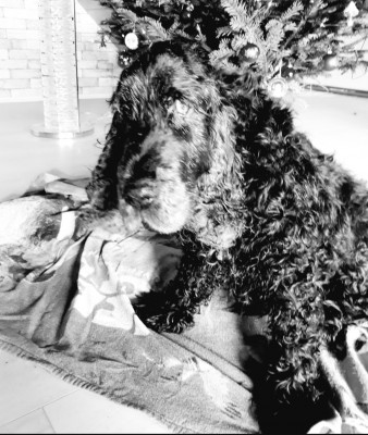 Screenshot_20240205_162748_WEBDE Mail.jpg