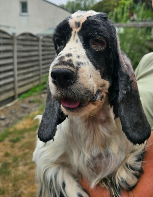 wilma5.jpg